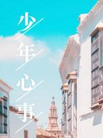 少年心事无删减版